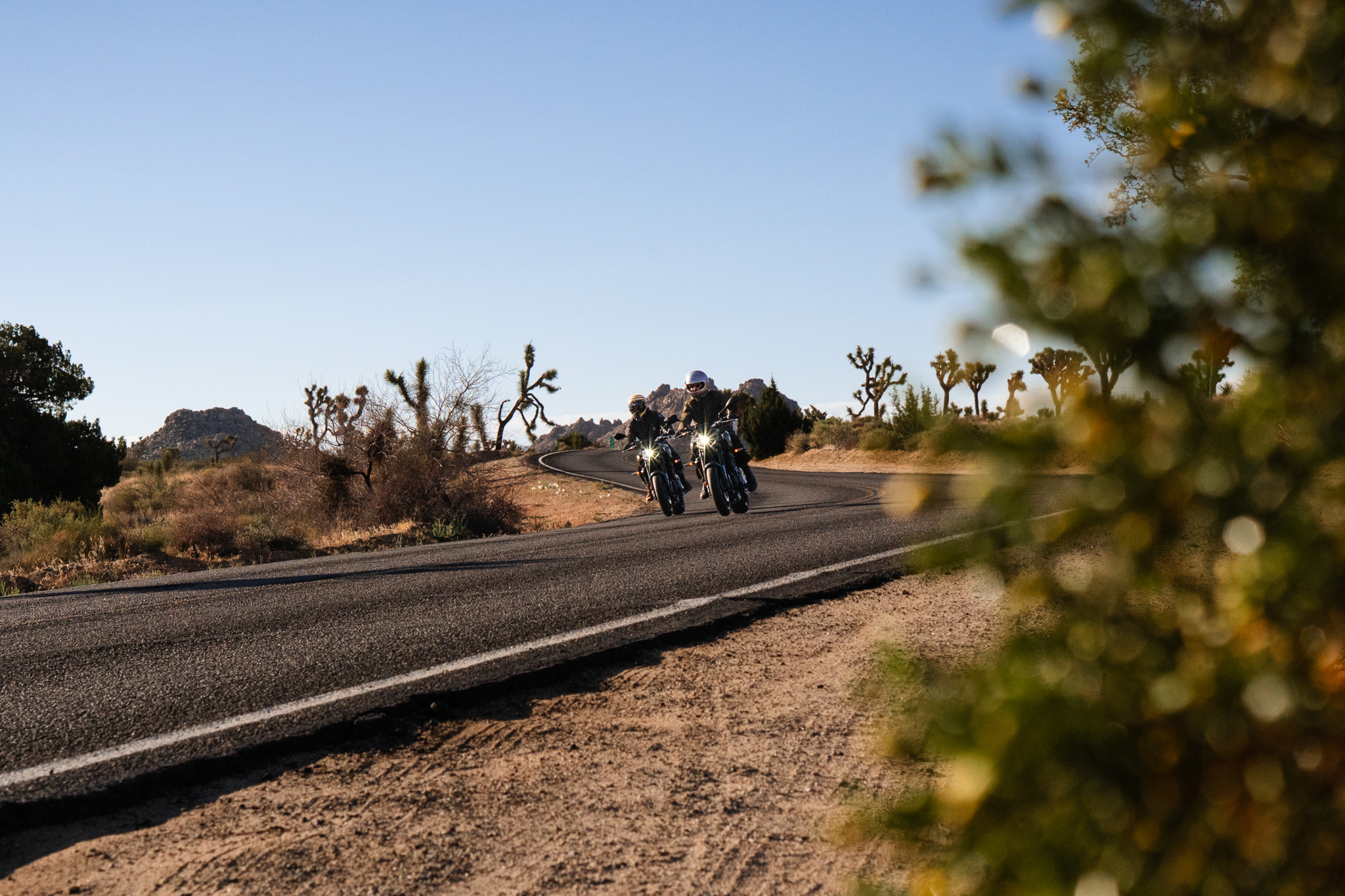 Ride With Us + Eagle Rider | Dream Rides: JoshuaTree