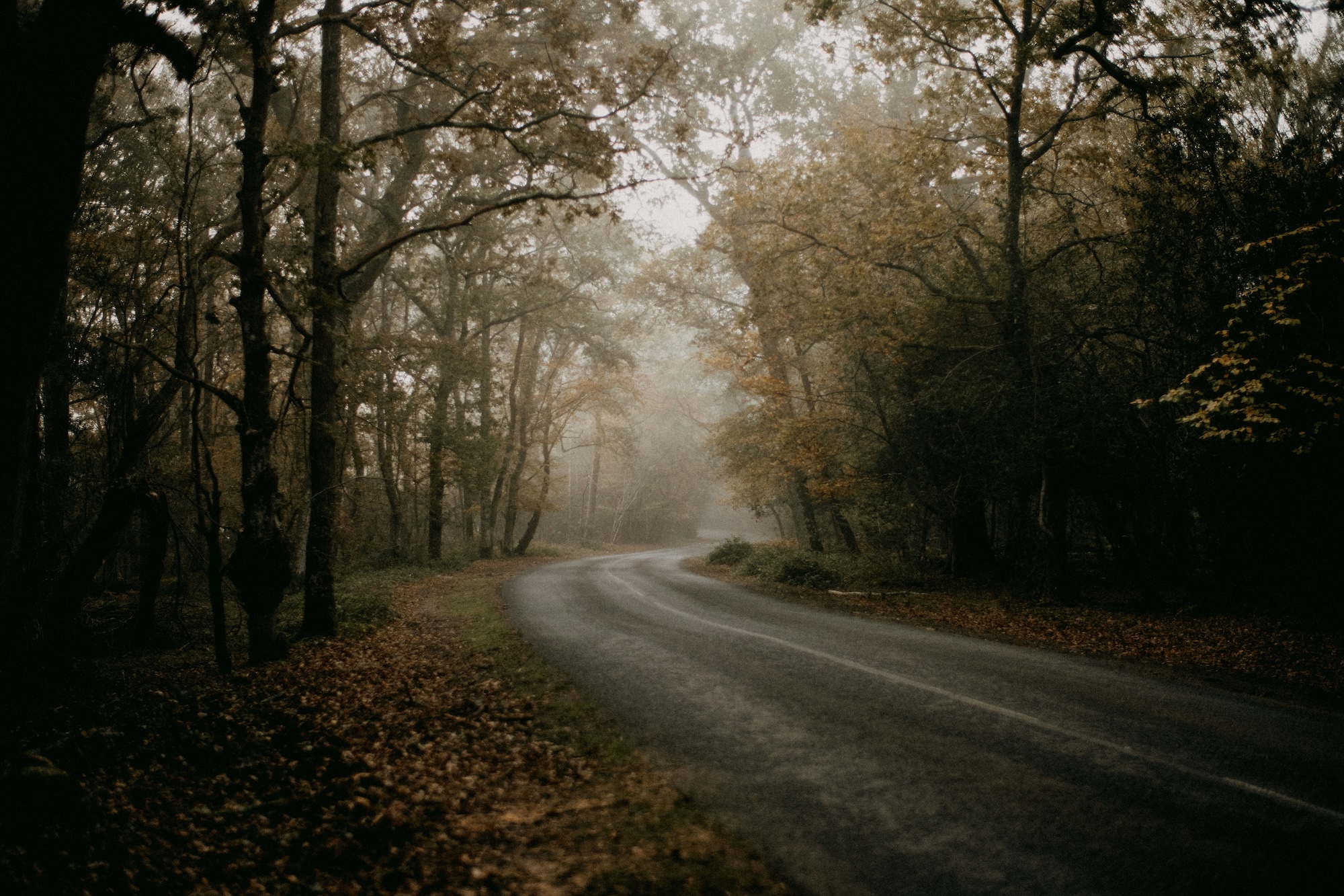Spooky Rides to Enjoy During Spooky Season