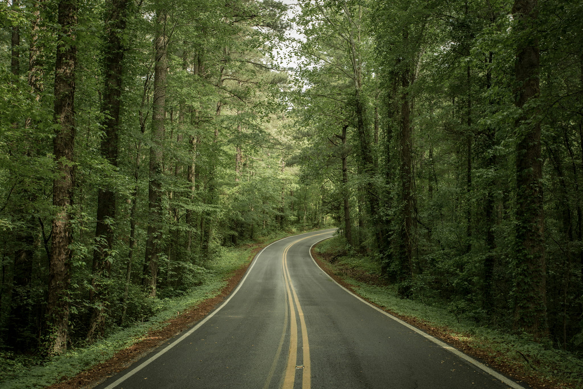 The Most Iconic City-to-City Motorcycle Rides in America 