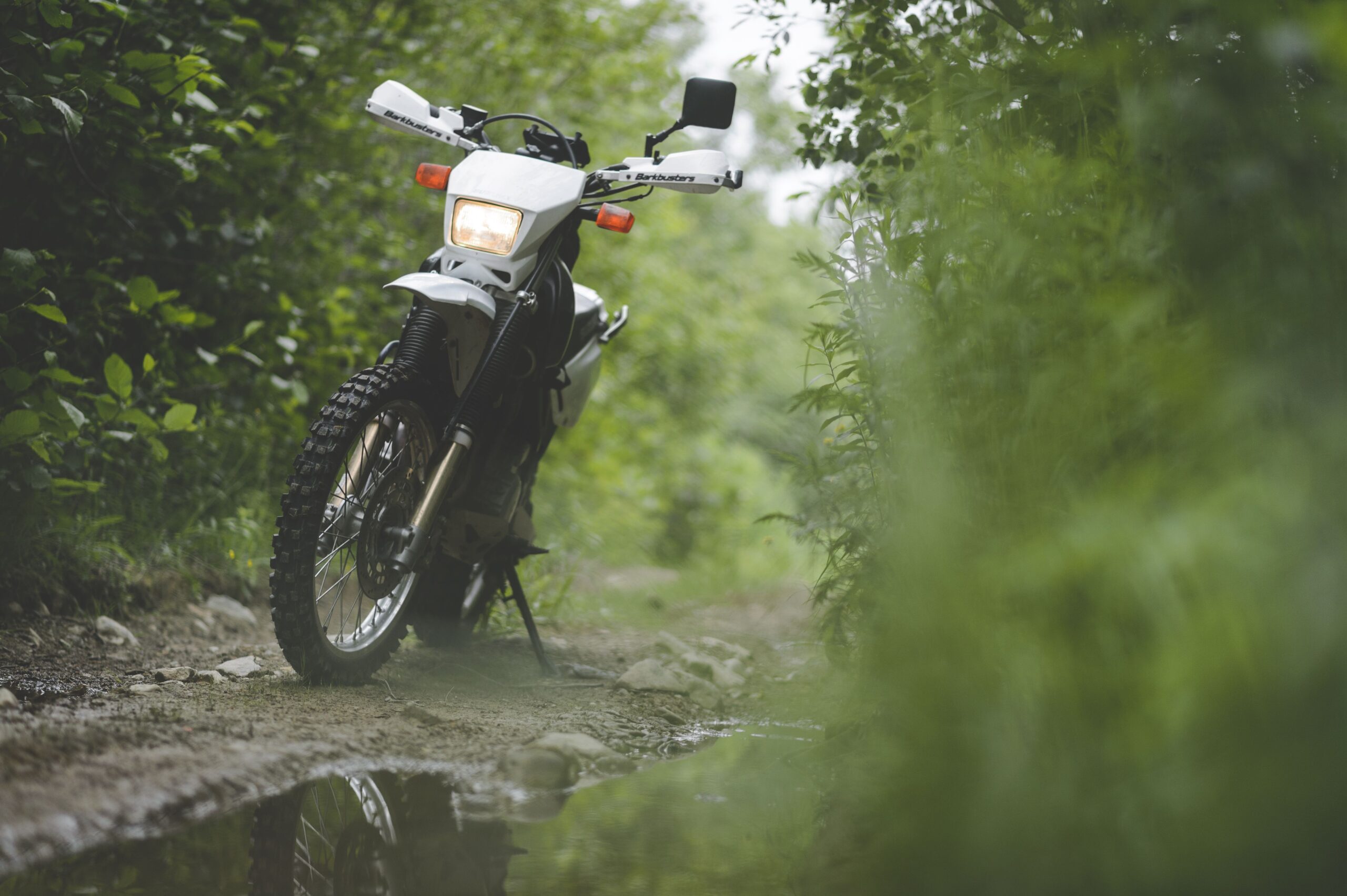 A Weekend on a Dual Sport: What Riding One Actually Feels Like